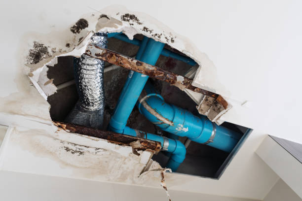 Hidden Leak in Your Home